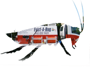 Evict-A-Bug Termite & Pest Control